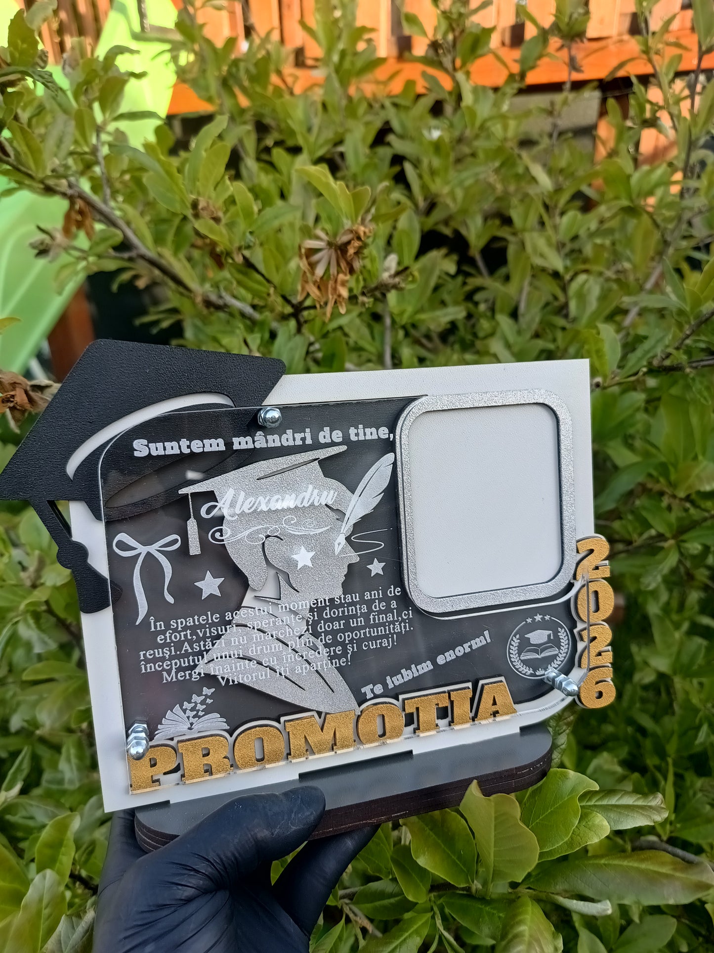 Plachetă personalizată -Absolvire 2